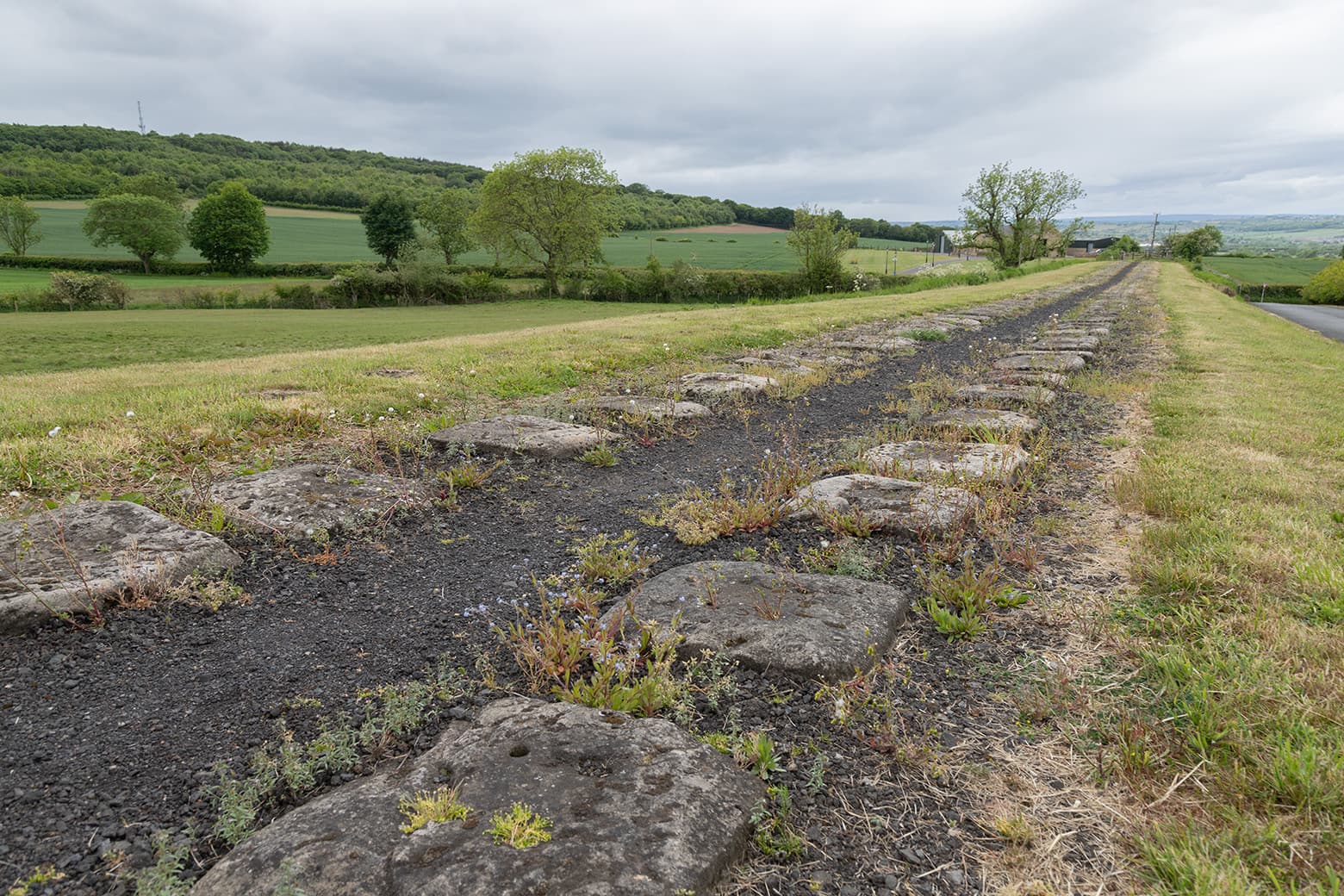 The Brusselton Incident